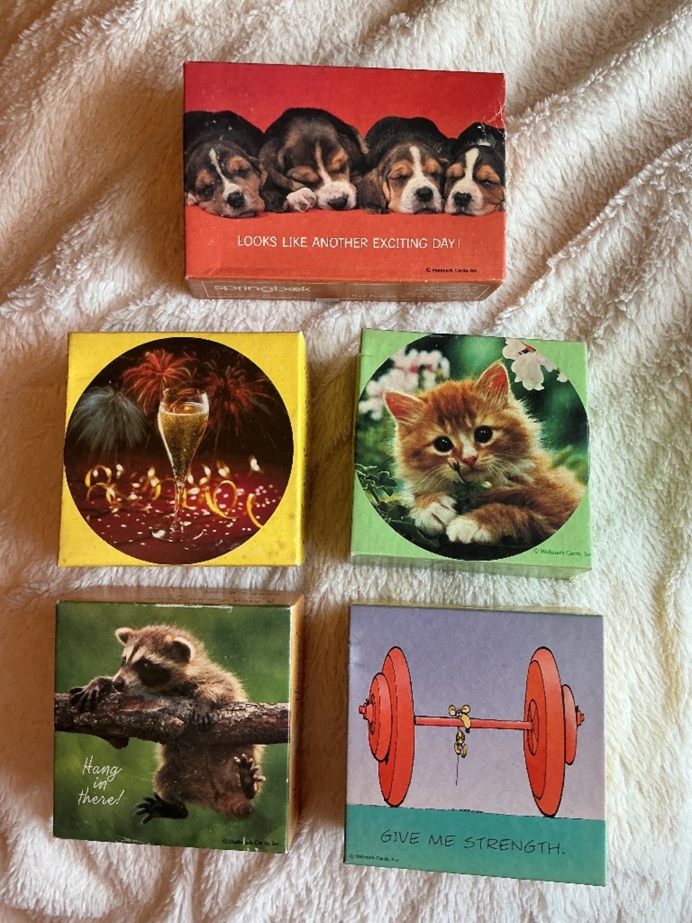 Vintage Lot of 5 Springbok Puzzle Puzzles Dogs Cat Champagne Raccoon Mouse